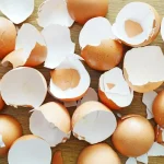 15 Genius Ways to Use Eggshells : They will change your home and Garden