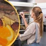 Las cucarachas desaparecerán de tu casa gracias a este ingrediente que tienes en la nevera