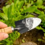 No solo repele plagas, sino que también elimina malas hierbas: el ingrediente ‘mágico’