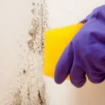 Muro arruinado por la humedad, no pidas ayuda a nadie: así se recupera