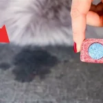 Cómo quitar las manchas y halos indelebles de los muebles del hogar sin esfuerzo
