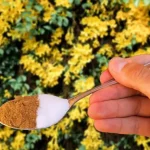 Esto revivirá cualquier planta amarillenta o podrida en cuestión de horas.