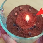Te mostramos cómo hacer que moscas y cucarachas desaparezcan de tu casa en menos de 10 minutos
