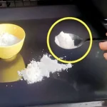Cómo limpiar el horno con el truco de la sal en cuestión de minutos