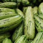 How to Preserve Zucchini for 6 Months Without Freezing: An Amazing Trick