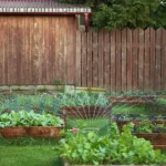 Por qué plantar tomates y cebollas juntos es el peor error de su jardín