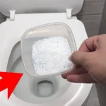 Put This in Your Toilet Right Now and See What Happens: You Won’t Believe the Results