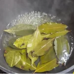 Put this on for 1 hour in your house, you will never see Flies, Mosquitoes or Cockroaches again