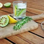 Repelente de mosquitos natural: ¡Descubre la asombrosa eficacia de estas 5 plantas!