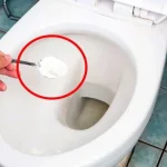 This Natural Mixture Will Make Your Toilet Sparkle in Seconds: Say Goodbye to Dirt