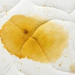 Urine Stains on a Mattress: How to Remove Them Effortlessly