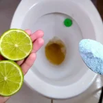 With just a few drops you won’t have to touch the toilet for weeks: it stays super clean