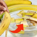 Banana peels, throwing them away is a big waste: for housewives they are worth gold | Use them like this