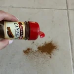 Throw 1 pinch of cinnamon on the floor, the trick that has worked for decades