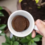 To have beautiful and lush plants, you will only need these two secret ingredients